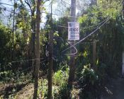 Area de terreno - Santo Aleixo - 